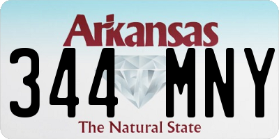 AR license plate 344MNY