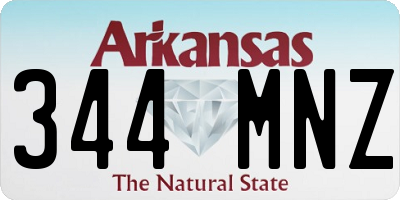 AR license plate 344MNZ