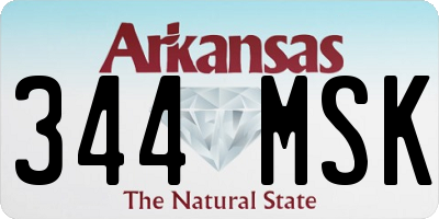AR license plate 344MSK