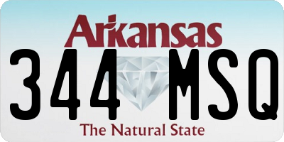AR license plate 344MSQ