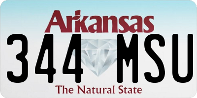 AR license plate 344MSU