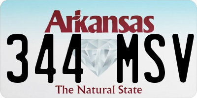 AR license plate 344MSV