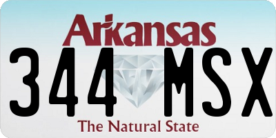 AR license plate 344MSX