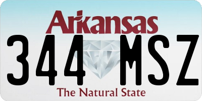 AR license plate 344MSZ