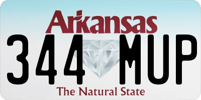 AR license plate 344MUP