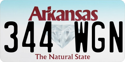 AR license plate 344WGN