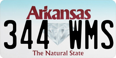 AR license plate 344WMS