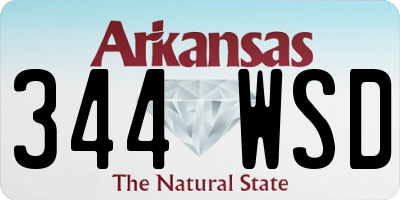 AR license plate 344WSD