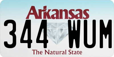 AR license plate 344WUM