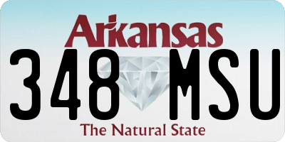 AR license plate 348MSU