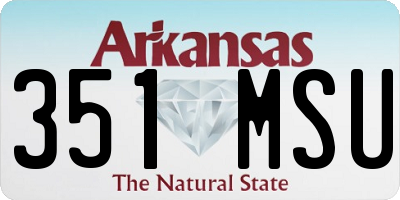 AR license plate 351MSU