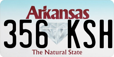 AR license plate 356KSH