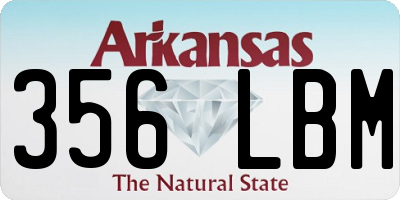 AR license plate 356LBM
