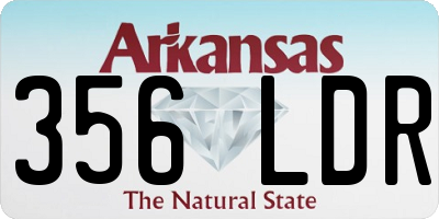 AR license plate 356LDR