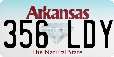 AR license plate 356LDY