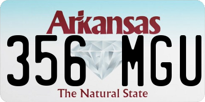 AR license plate 356MGU