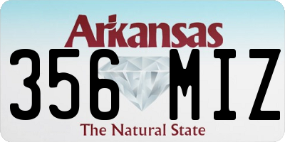 AR license plate 356MIZ
