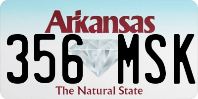 AR license plate 356MSK