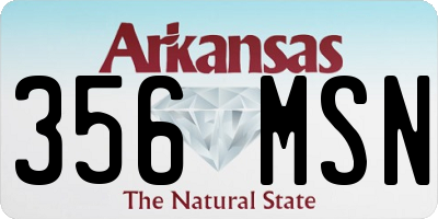 AR license plate 356MSN