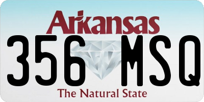 AR license plate 356MSQ