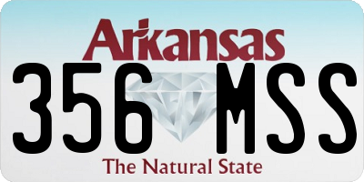 AR license plate 356MSS