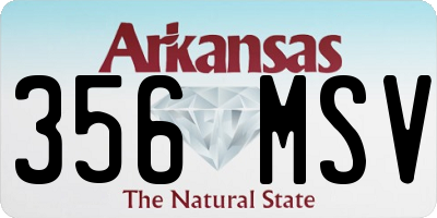 AR license plate 356MSV