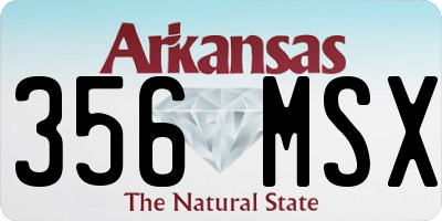 AR license plate 356MSX