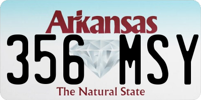 AR license plate 356MSY