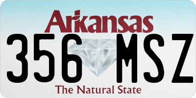AR license plate 356MSZ