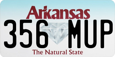 AR license plate 356MUP
