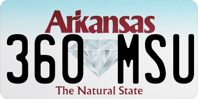AR license plate 360MSU