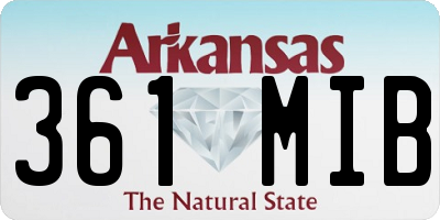 AR license plate 361MIB