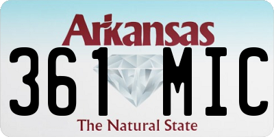 AR license plate 361MIC