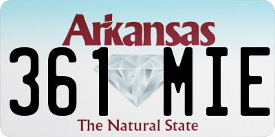AR license plate 361MIE