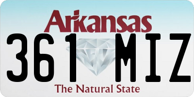 AR license plate 361MIZ