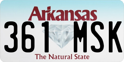 AR license plate 361MSK