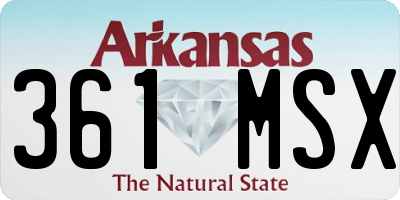 AR license plate 361MSX