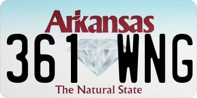 AR license plate 361WNG