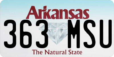 AR license plate 363MSU