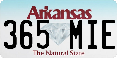 AR license plate 365MIE
