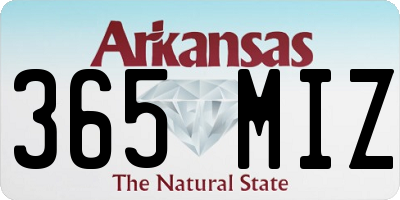 AR license plate 365MIZ