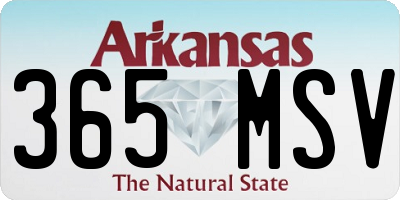 AR license plate 365MSV