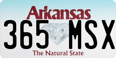 AR license plate 365MSX