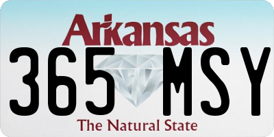 AR license plate 365MSY