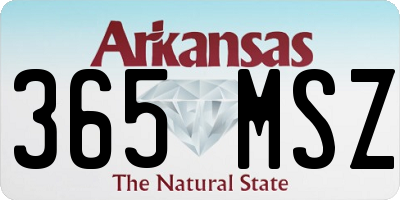 AR license plate 365MSZ