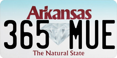 AR license plate 365MUE
