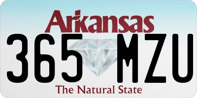 AR license plate 365MZU