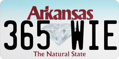 AR license plate 365WIE