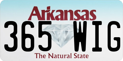 AR license plate 365WIG