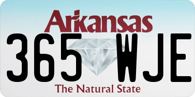 AR license plate 365WJE